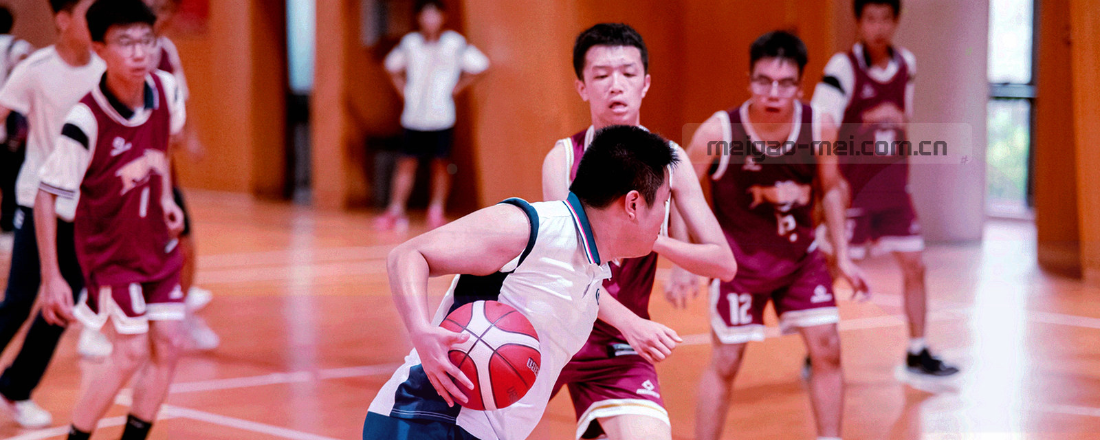 深绿与香槟金色调的数据曲线与时间轴抽象图形，表现栏目更新脉络